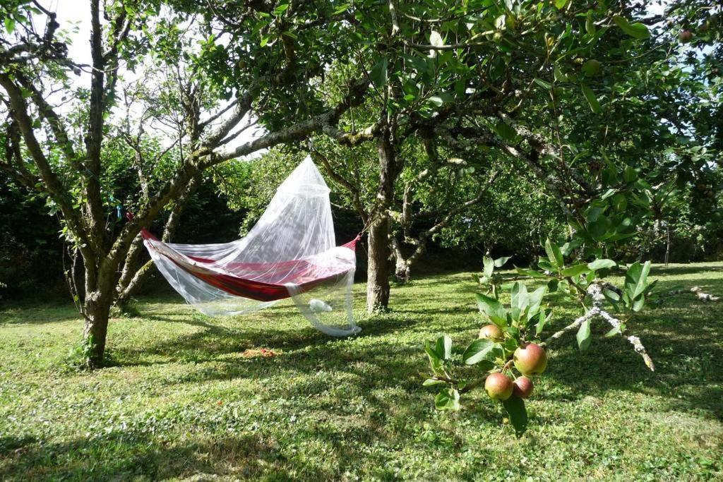 Horsna Parc Retreat Acomodação com café da manhã Saint Tudy Exterior foto
